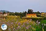 Near Lixouri on the schiereiland Paliki - Cephalonia (Kefalonia) - Photo 538 - Photo GreeceGuide.co.uk