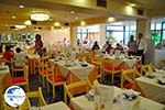 Restaurant Hotel Mediterranee Lassi - Cephalonia (Kefalonia) - Photo 603 - Photo GreeceGuide.co.uk
