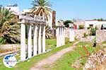 Archaeological ruins Kos town | Island of Kos | Greece Photo 4 - Photo GreeceGuide.co.uk