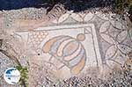 Archaeological ruins Kos town | Island of Kos | Greece Photo 8 - Photo GreeceGuide.co.uk