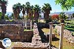 Kos town (Kos-town) | Island of Kos | Greece Photo 33 - Photo GreeceGuide.co.uk