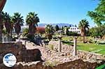 Kos town (Kos-town) | Island of Kos | Greece Photo 34 - Photo GreeceGuide.co.uk