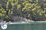 Island of Kalamos near Lefkada - Greece - Photo 24 - Photo GreeceGuide.co.uk
