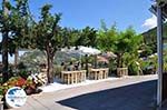 Terraces with uitzicht in Athani - Lefkada (Lefkas) - Photo GreeceGuide.co.uk