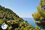 Groene hellingen near Egremni-beach - Lefkada (Lefkas) - Photo GreeceGuide.co.uk