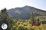 The groene nature in the Mountainous near Englouvi - Lefkada (Lefkas) - Photo GreeceGuide.co.uk