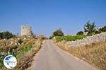 Op the Plateau near Englouvi Photo 1 - Lefkada (Lefkas) - Photo GreeceGuide.co.uk