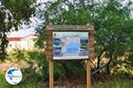 Birdwatching in Lesbos - Photo GreeceGuide.co.uk