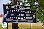 Welcome in Skala Kallonis - Photo GreeceGuide.co.uk