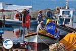 The vissers at the fishing harbor - Photo GreeceGuide.co.uk