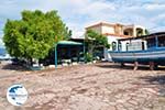 Terrasje at the sfeervolle small harbour of Skala Kallonis - Photo GreeceGuide.co.uk