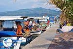 boats at vissersThe harbour of Skala Kalllonis - Photo GreeceGuide.co.uk