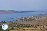 The fishermen village Apothika at The bay of Kalloni Photo 002 - Photo GreeceGuide.co.uk