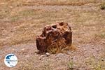 Petrified forest near Sigri foto2 - Photo GreeceGuide.co.uk