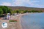 The Sandy beach of Sigri - Photo GreeceGuide.co.uk