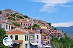 Pittoresk Molyvos (Molivos) Photo 4 - Photo GreeceGuide.co.uk