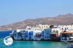 Mykonos town (Chora) | Greece | Greece  Photo 8 - Photo GreeceGuide.co.uk