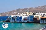 Mykonos town (Chora) | Greece | Greece  Photo 10 - Photo GreeceGuide.co.uk