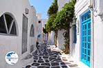 Mykonos town (Chora) | Greece | Greece  Photo 25 - Photo GreeceGuide.co.uk