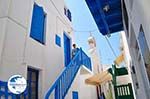 Mykonos town (Chora) | Greece | Greece  Photo 31 - Photo GreeceGuide.co.uk