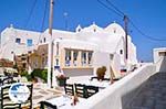 Mykonos town (Chora) | Greece | Greece  Photo 43 - Photo GreeceGuide.co.uk