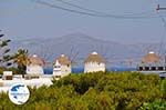 Mykonos town (Chora) | Greece | Greece  Photo 82 - Photo GreeceGuide.co.uk