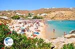 Super Paradise beach | Mykonos | Greece Photo 16 - Photo GreeceGuide.co.uk