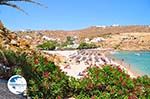 Super Paradise beach | Mykonos | Greece Photo 20 - Photo GreeceGuide.co.uk