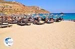 Super Paradise beach | Mykonos | Greece Photo 23 - Photo GreeceGuide.co.uk
