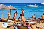 Super Paradise beach | Mykonos | Greece Photo 38 - Photo GreeceGuide.co.uk