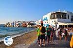 Mykonos town (Chora) | Greece | Greece  Photo 100 - Photo GreeceGuide.co.uk