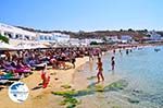 Platis Gialos Mykonos | Greece | Greece  Photo 13 - Photo GreeceGuide.co.uk