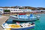 Platis Gialos Mykonos | Greece | Greece  Photo 23 - Photo GreeceGuide.co.uk