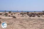 Agios Prokopios beach | Island of Naxos | Greece | Photo 1 - Photo GreeceGuide.co.uk