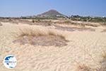 Agios Prokopios beach | Island of Naxos | Greece | Photo 29 - Photo GreeceGuide.co.uk