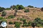 Berglandschap Naxos | Island of Naxos | Greece | Photo 2 - Photo GreeceGuide.co.uk