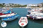 Piso Livadi Paros | Cyclades | Greece Photo 4 - Photo GreeceGuide.co.uk