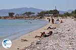 Somewhere between Farangas and Aliki | Paros Cyclades | Greece Photo 3 - Photo GreeceGuide.co.uk