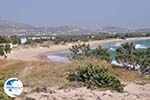 Beaches Glyfades and Tsoukalia Paros | Greece Photo 18 - Photo GreeceGuide.co.uk