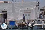 Naoussa Paros | Cyclades | Greece Photo 44 - Photo GreeceGuide.co.uk