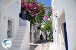 Naoussa Paros | Cyclades | Greece Photo 76 - Photo GreeceGuide.co.uk