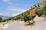 Tussen the olijfbomen and in the buurt of the Spiliani klooster, the Efpalinos tunnel and the oude theater in Pythagorion - Island of Samos - Photo GreeceGuide.co.uk