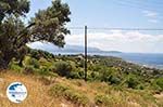 Landschap Pythagorion - Island of Samos - Photo GreeceGuide.co.uk