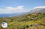The Kampos (Martahokampos Votsalakia) gebied at the hoge berg of Kerkis - Island of Samos - Photo GreeceGuide.co.uk
