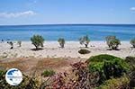 Pebble beach near Kampos (Votsalakia) - Island of Samos - Photo GreeceGuide.co.uk