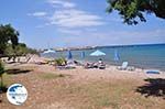 beach Karlovassi at the jachtThe harbour of - Island of Samos - Photo GreeceGuide.co.uk