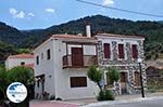 Mooie gebouwen at the kust near Agios Konstandinos - Island of Samos - Photo GreeceGuide.co.uk