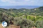 Op the route Agios Konstandinos - Manolates - Island of Samos - Photo GreeceGuide.co.uk