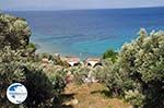 Tsamadou near Kokkari - Island of Samos - Photo GreeceGuide.co.uk