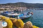 The Fishing boats at The harbour of Vathy (Samos town) - Island of Samos - Photo GreeceGuide.co.uk